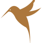 Tan Hummingbird outline